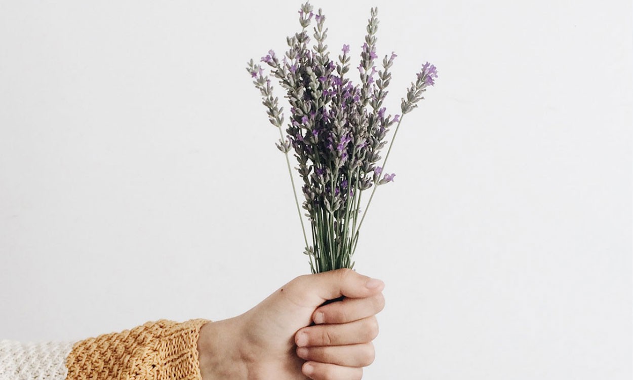 Nullam ullamcorper nisl quis ornare molestie