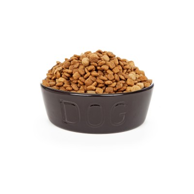 Dry Dog Food