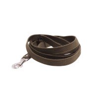 Leather Leash